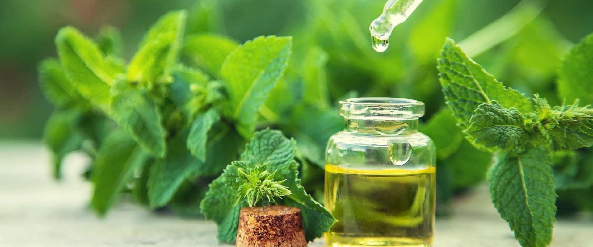 Essential Oils for Hair Loss: Natural Solutions for Preventing Baldness and Promoting Hair Growth